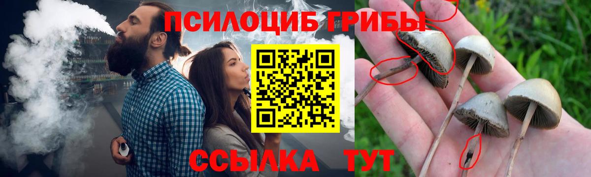 Новочеркасск  Галлюциногенные грибы ЛСД  Вход с VPN 