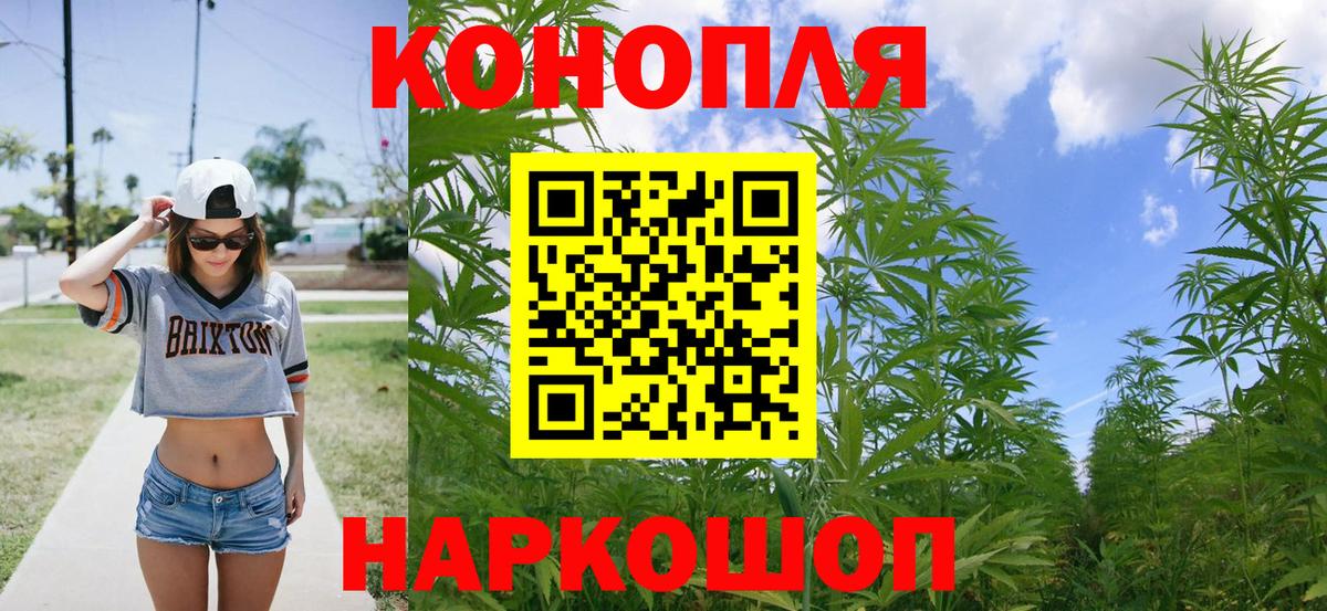 Канабис тримм  Вход с VPN  Новочеркасск  Шишки марихуана индика  Марихуана Bruce Banner  Бошки марихуана марихуана 